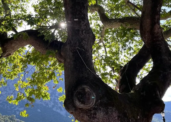 Βίλα Achyronas 1840 Stone House *